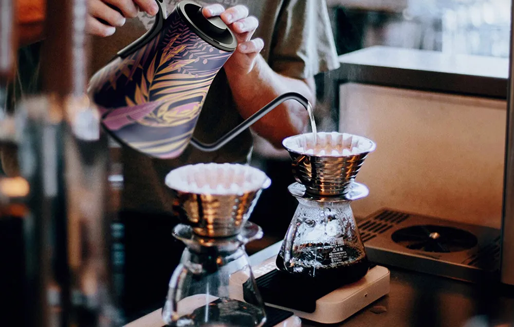 Czajnik elektryczny z regulacją temperatury Gooseneck Cocinare biały